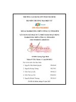 tiểu luận xây dựng kế hoạch và triển khai hoạt độngmarketing trên công cụ tìm kiếmcho website arozeno