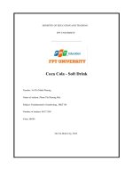 coca cola soft drink