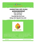 tiểu luận maarketing nội dung thương hiệu be fresh