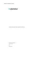 chiến lược marketing của durex tại việtnam