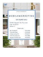 tiểu luận mobile marketing gia dụng gali