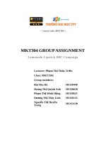 mkt304 group assignment lemonade lipstick imc campaign