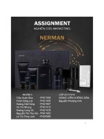 tiểu luận nghiên cứu marketing nerman