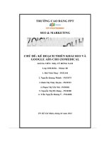 tiểu luận chủ đề kế hoạch triển khai seo vàgoogle ads cho zomedical