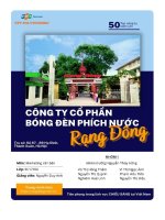 tiểu luận tổng quan về doanh nghiệp công ty cổ phần bóng đèn phích nước rạng đông