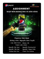 tiểu luận tổng quan về doanh nghiệp và chức năngcủa hoạt động marketing và bán hàng trongdoanh nghiệp suntory pepsico việt nam