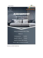 tiểu luận content marketing decoden đồ decor cho sinh viên