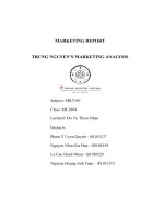marketing report trung nguyens marketing analysis