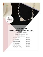 tiểu luận mạng xã hội tên nhãn hàng jmii accessories