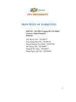 principles of marketing hulk crypto capital hc capital