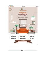 tiểu luận giới thiệu thương hiệu home decor