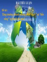 Tiểu luận - đường lối cách mạng - đề tài -  Tăng trưởng nhanh nhưng phải “sạch” và “bền vững” nghĩa là thế nào