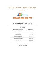 the acceptance of electronic word of mouth information and brand trust in the tourism sector in the mekong delta region