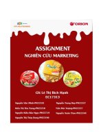 tiểu luận giới thiệu tổng quan về hoạt động của doanhnghiệp và xác định vấn đề mục tiêu nghiên cứu tên doanh nghiệp orion