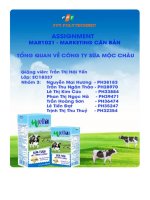 tiểu luận tổng quan về công ty sữa mộc châu