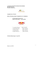 tiểu luận marketing căn bảnphân tích hoạt động marketing của redbul