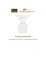 group assignment legal issues in business a comprehensive report