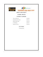 group assignment bitis o