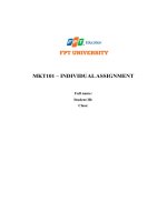 mkt101 individualassignment