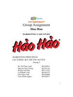 group assignment hao hao marketing case study