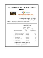 group assignment topic operational efficiency or productivity