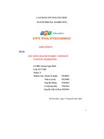 tiểu luận đề tài xây dựng doanh nghiệp vietfruitcontent marketing