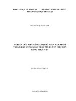 Luận văn thạc sĩ Khoa học Môi trường: Nghiên cứu khả năng loại bỏ Asen và Cadimi trong đất vùng khai thác mỏ huyện chợ Đồn bằng thực vật