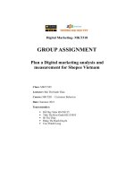 group assignment plan a digital marketing analysis and measurement for shopee vietnam
