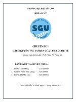 chuyên đề 1 các nguyên tắc cơ bản của luật quốc tế
