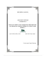 đề xuất chiến lược marketing hỗn hợp cho sản phẩm gia vị hoàn chỉnh của công ty dh foods