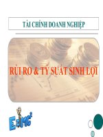 Tiểu Luận -Tài Chính Doanh Nghiệp - đề tài -  RỦI RO & TỶ SUẤT SINH LỢI
