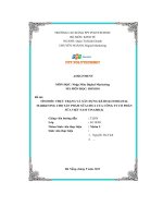 tiểu luận tìm hiểu thực trạng và xây dựng kế hoạch digitalmarketing cho sản phẩm sữa chua của công ty cổ phầnsữa việt nam vinamilk