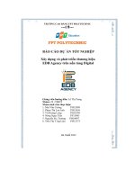 Dự Án Tốt Nghiệp - Xây Dựng Và Phát Triển Thương Hiệu Edb Agency Trên Nền Tảng Digital.pdf