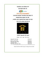 tiểu luận marketing mạng xã hội chiến lược marketing mạng xã hội cho cửa hàng decor 69