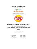 tiểu luận nghiên cứu hành vi tiêu dùng snacklays vị kim chi seoul công ty tnhh thực phẩm pepsico việtnam