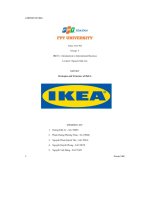 Report Strategies And Structure Of Ikea.pdf