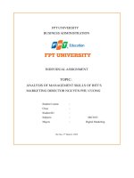 analysis of management skills of bitis marketing director nguyen phu cuong