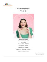 assignment marketing căn bản m o i là thương hiệu mỹ phẩm trang điểm c