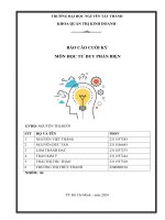 BÁO CÁO CUỐI KỲ MÔN HỌC TƯ DUY PHẢN BIỆN 