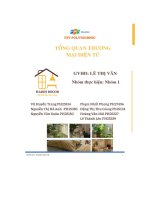 tiểu luận tổng quan về dự án cửa hàng hades decor