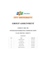 group assignment integrated marketing communication vinfast