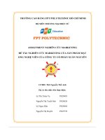 tiểu luận đề tài nghiên cứu marketing của sản phẩm mậtong nghệ viên của công ty cổ phần xuân nguyên