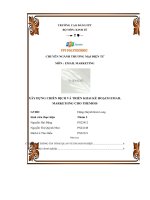 tiểu luận xây dựng chiến dịch và triển khai kế hoạch emailmarketting cho themois