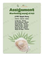 tiểu luận nghiên cứu doanh nghiệp và thị trường tên thương hiệu eco sivila