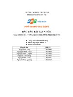 tiểu luận tổng quan thương mại điện tử phân tích tác động của tmđt đến hoạt động kinh doanh