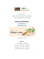 group assignment chỉ dẫn địa lý sâm ngọc linh