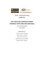 viet nam steel manufacturers financial ratio analysis 2020 2022
