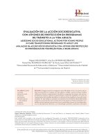 EVALUACIÓN DE LA ACCIÓN SOCIOEDUCATIVA CON JÓVENES DE PROTECCIÓN EN PROGRAMAS DE TRÁNSITO A LA VIDA ADULTA