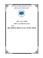 TIỂU LUẬN- LUẬT HỌC SO SÁNH - Đề tài -   HỆ THỐNG PHÁP LUẬT NƯỚC PHÁP
