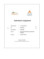 individual assignment intergrated marketing comunication